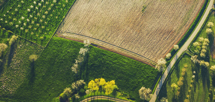 field_view