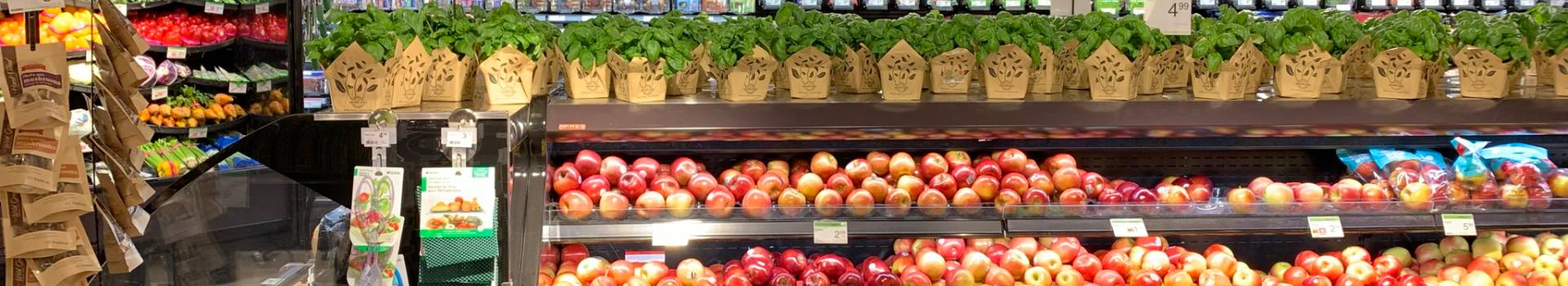 In this image, apples and some plants are displayed in a store.