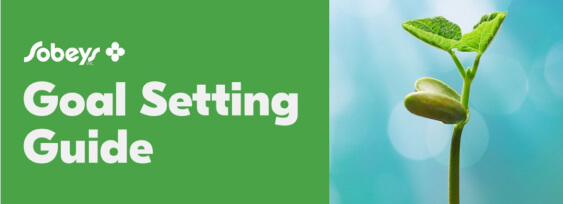 Goal setting guide